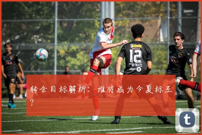 转会目标解析:谁将成为今夏标王?