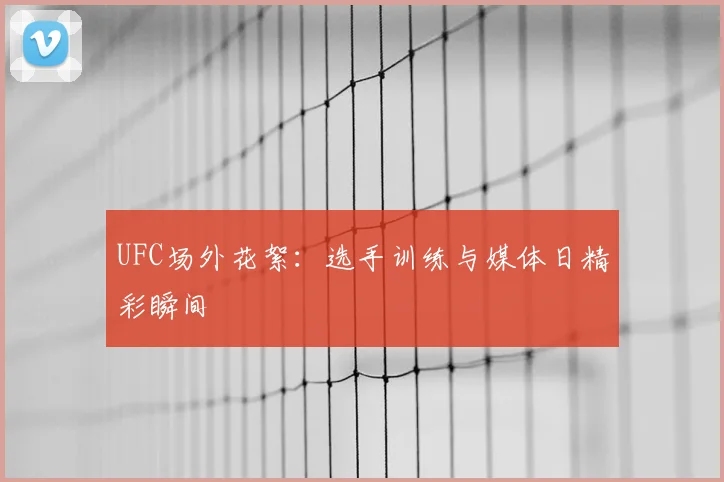 UFC场外花絮：选手训练与媒体日精彩瞬间