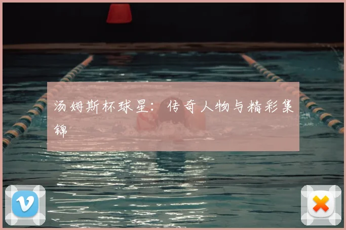汤姆斯杯球星:传奇人物与精彩集锦