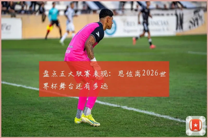 盘点五大联赛表现：恩佐离2026世界杯舞台还有多远