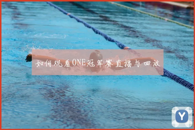 如何观看ONE冠军赛直播与回放