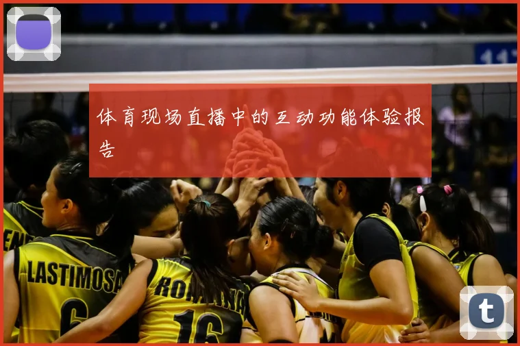 体育现场直播中的互动功能体验报告