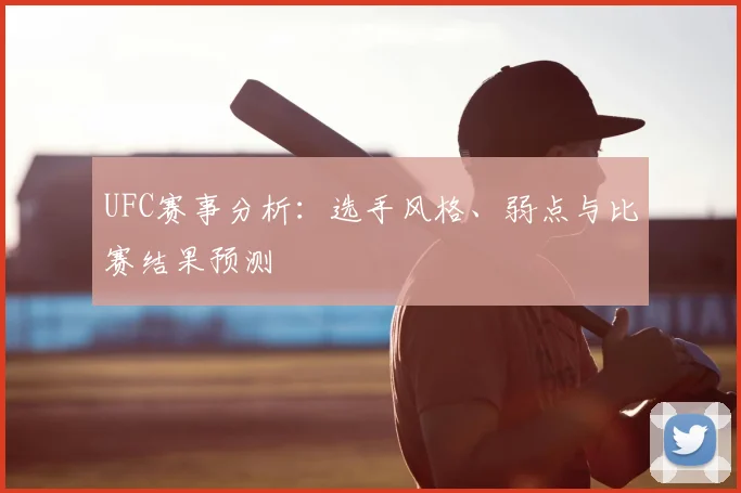 UFC赛事分析：选手风格、弱点与比赛结果预测