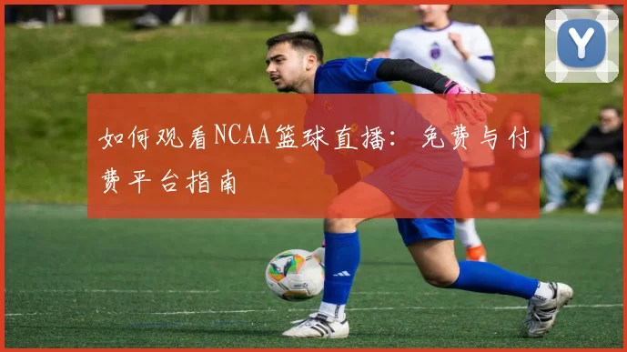 如何观看NCAA篮球直播：免费与付费平台指南
