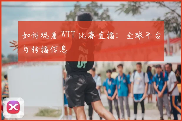 如何观看 WTT 比赛直播：全球平台与转播信息